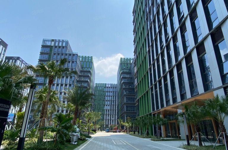 国企招租500平起坪山高新医疗产业园50000平精装厂房出租