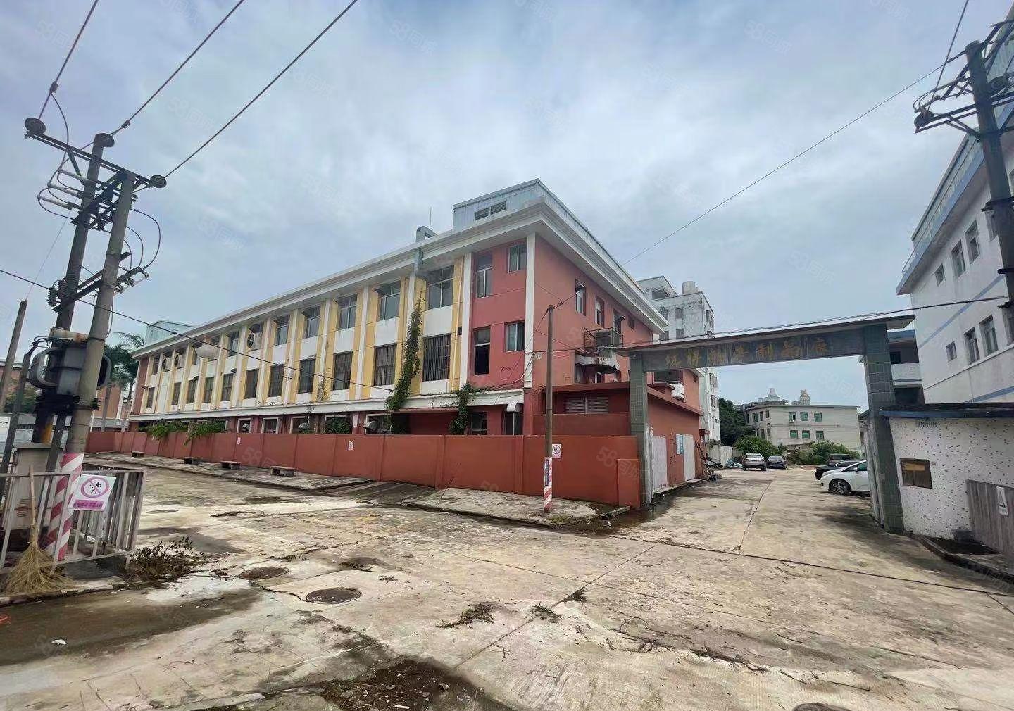 坑梓独门独院厂房出租不分租