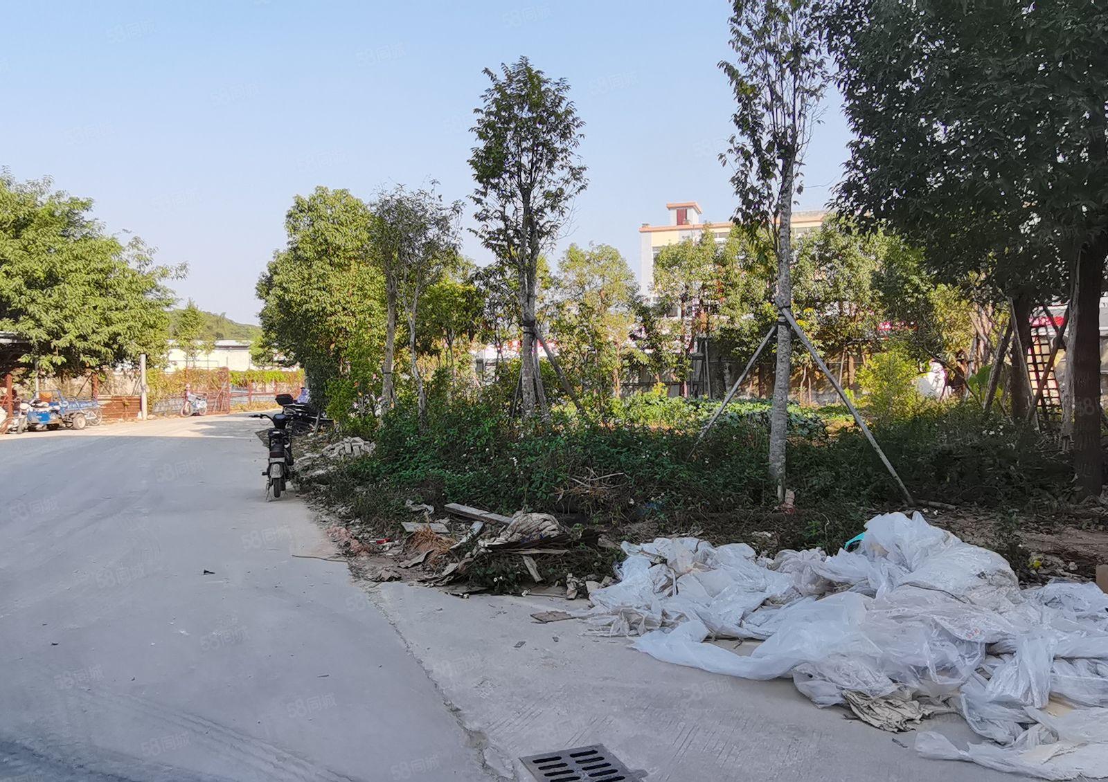 高5.5米一楼坪山石井上村工业区附近原房东独院800平空地大