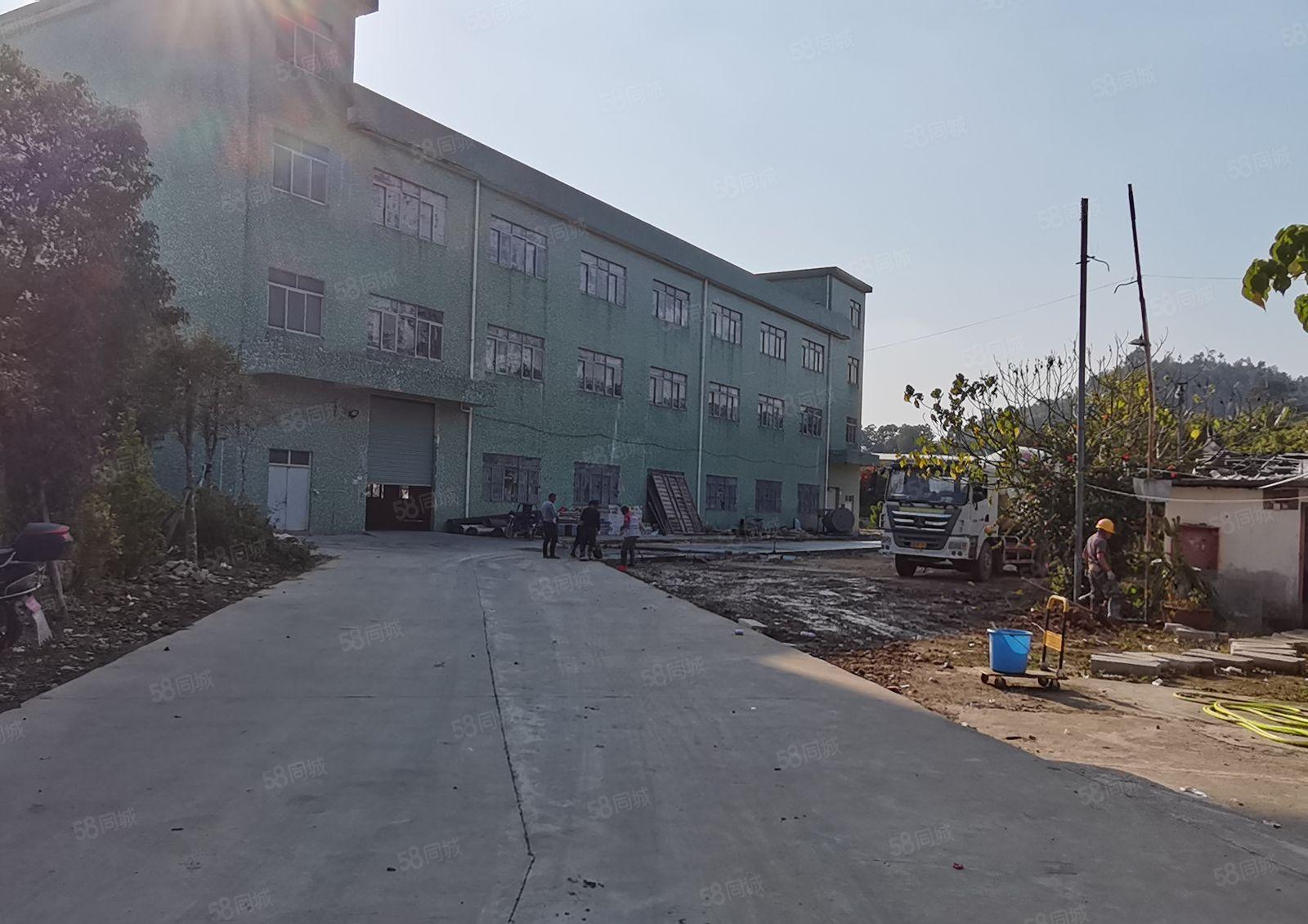 高5.5米一楼坪山石井上村工业区附近原房东独院800平空地大