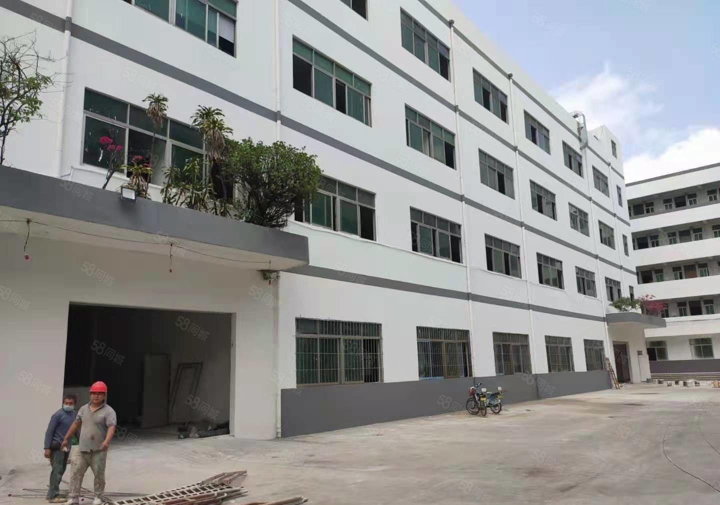 500平起租拎包入驻坪山新出2000平精装修红本厂房水电齐全