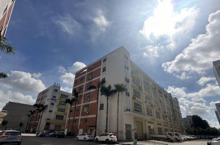 坪山竹坑原房东大型科技园3楼500平带装修办公仓库厂房出租