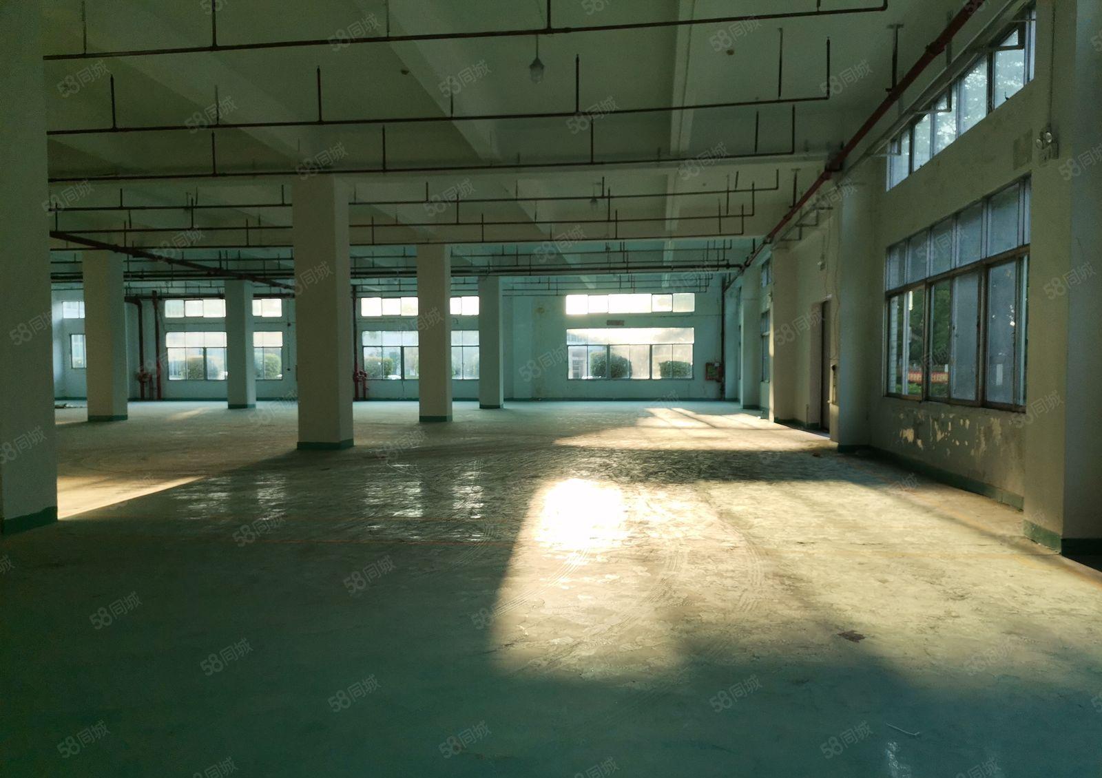 深圳坪山原房东1楼1700平方米，红本厂房出租，高度6.5米