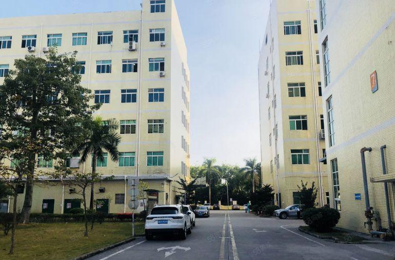 坪山石井原房东科技园新出楼上1000平带精装办公仓库厂房出租