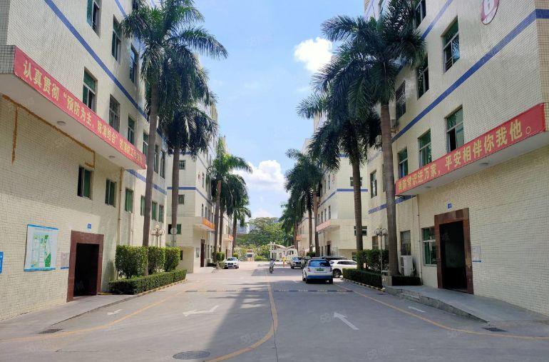 坪山红本厂房出租 500平起租 整层2200平可分租