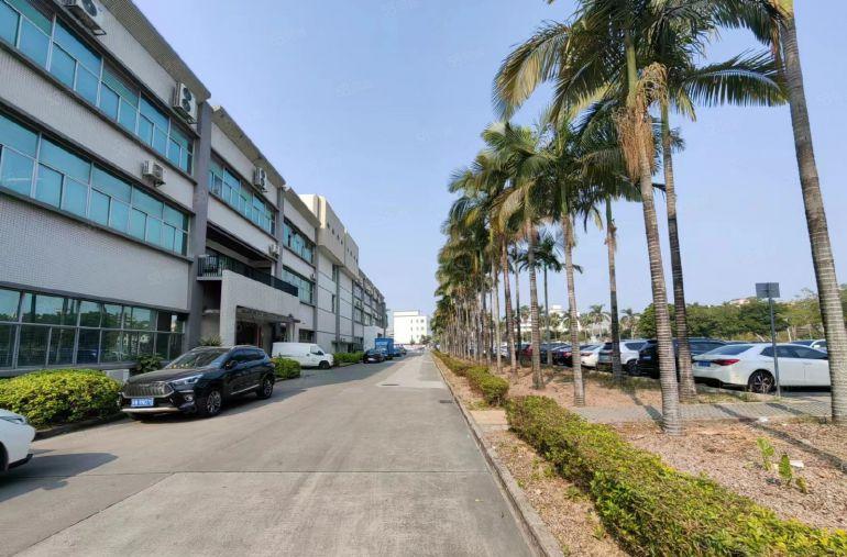 200平起一手房东招租坪山新出1000平精装办公仓库厂房出租