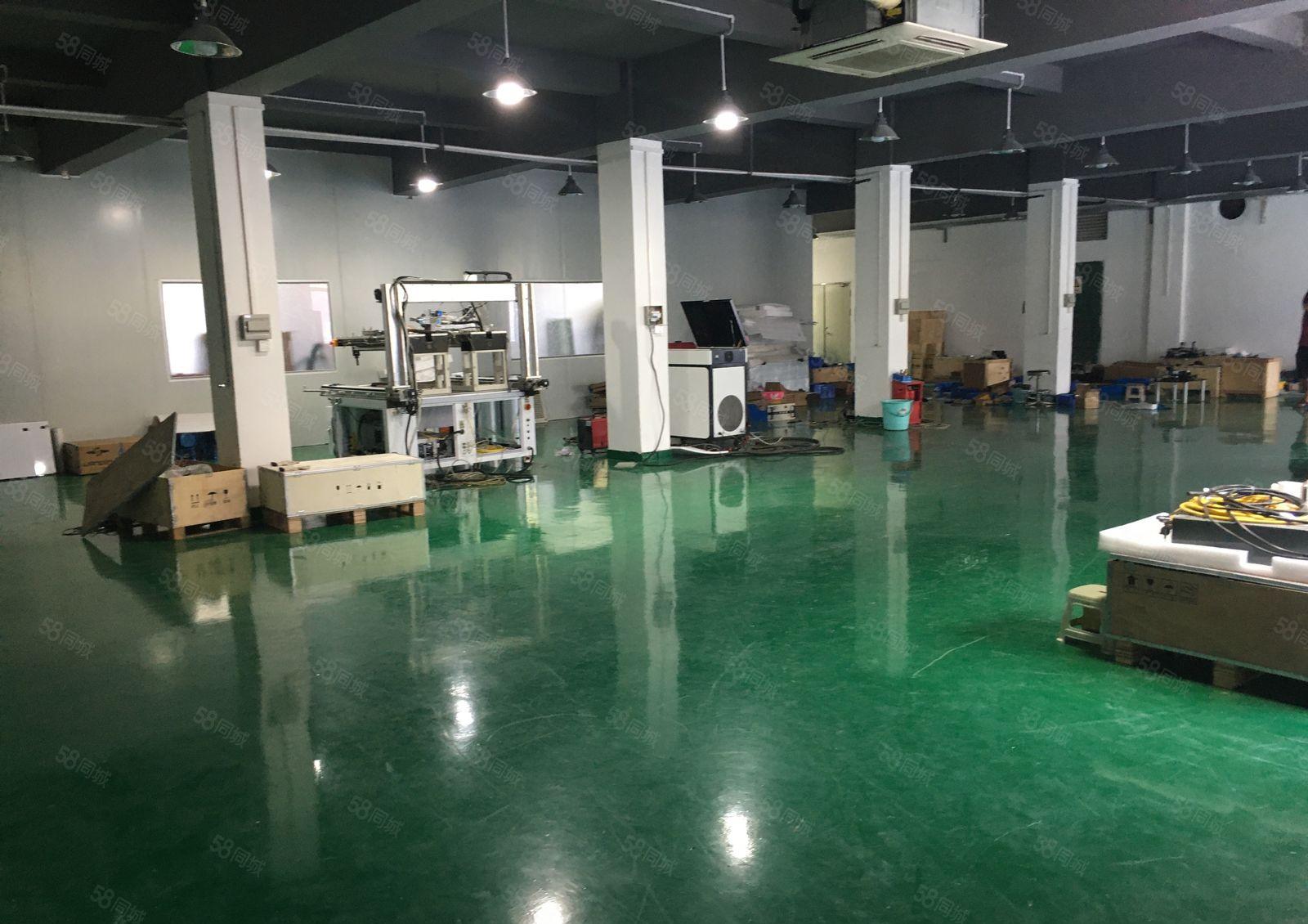 200平起分租坪山碧岭新出原房东5000平红本厂房出租可分租