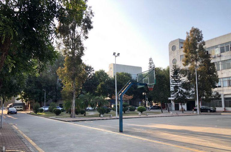 原房东，坪山坑梓新出一楼1000平带行吊仓库办公室厂房出租