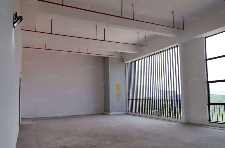 深圳市坪山区全新原房东医疗大健康食品产业集群平米厂房出租