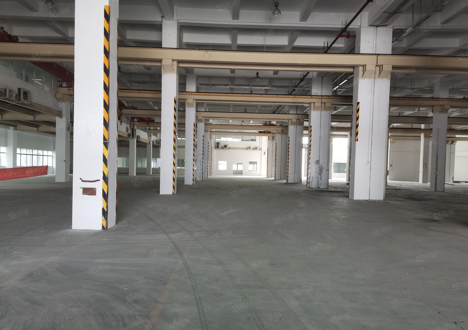 深圳坪山特种厂房10000平方层高10米带5吨航车带装修办公