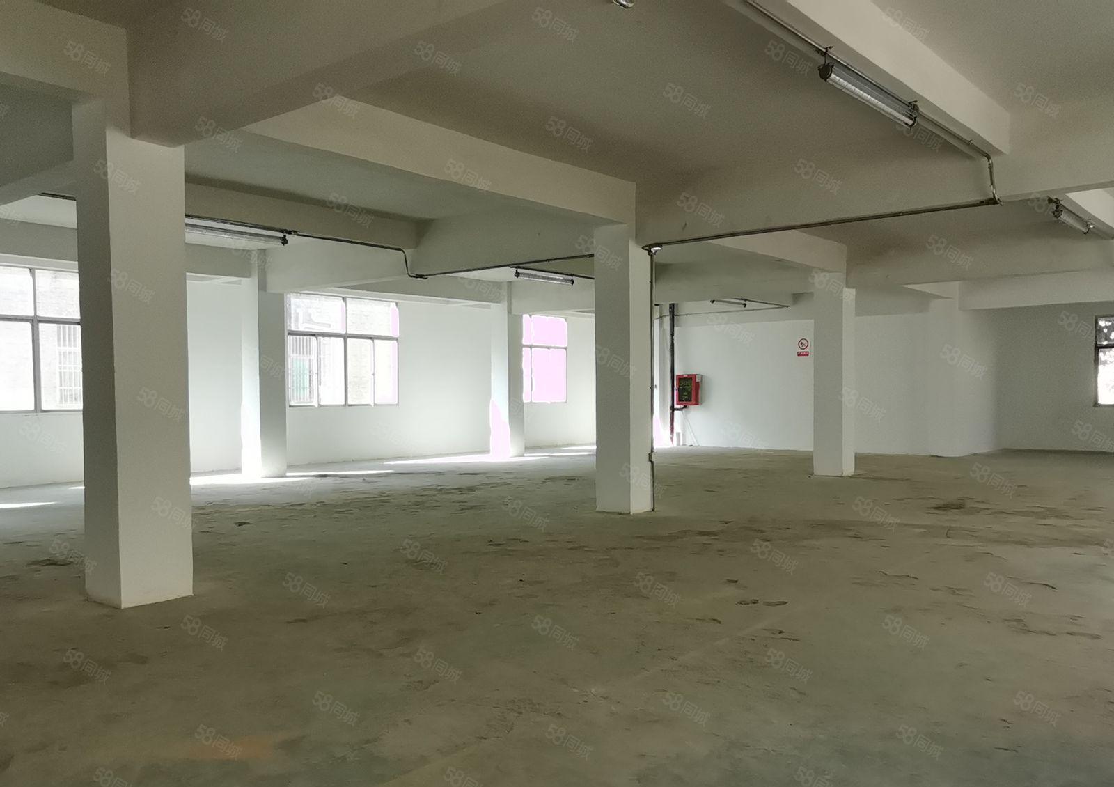 打包价2.8万坪山石井田头埔新空出独院3层1440平宿舍8间