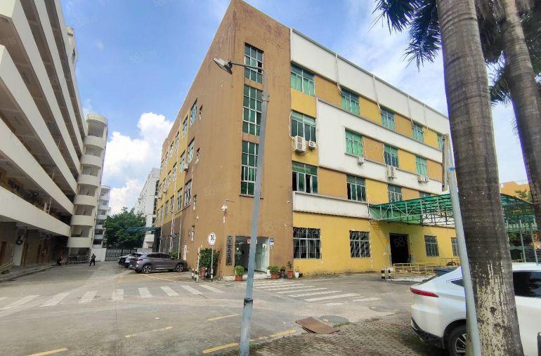 坑梓原房东实际面积500至11000平厂房仓库出租精装办公室