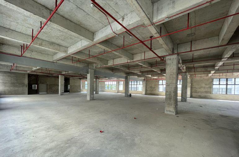 深圳产业转移，江门七千猫产业园，侨乡之都