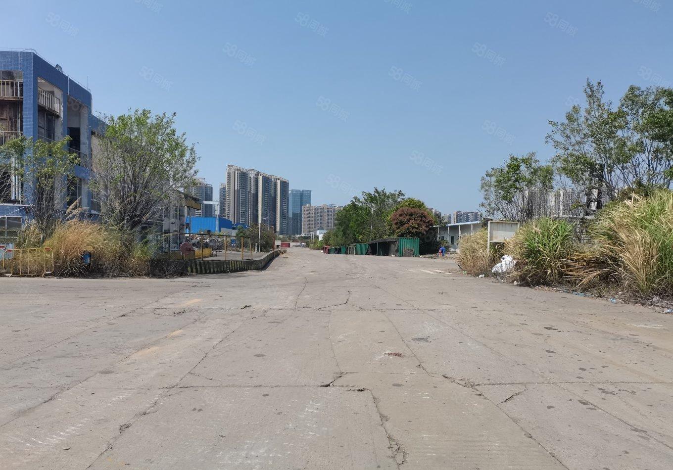 超大空地原房东红本钢构14米层高60000平2000平起分