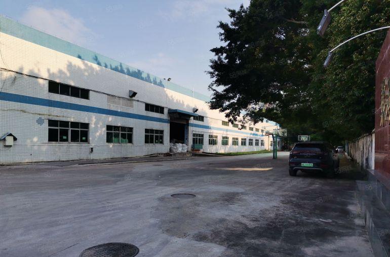 深圳市坪山区钢结构厂房出租，整栋4000平方米，高度10米