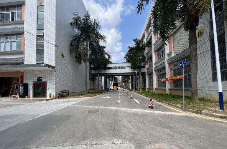 坪山坑梓开发商直租红本厂房2300平方仓库出租空地大实际面积