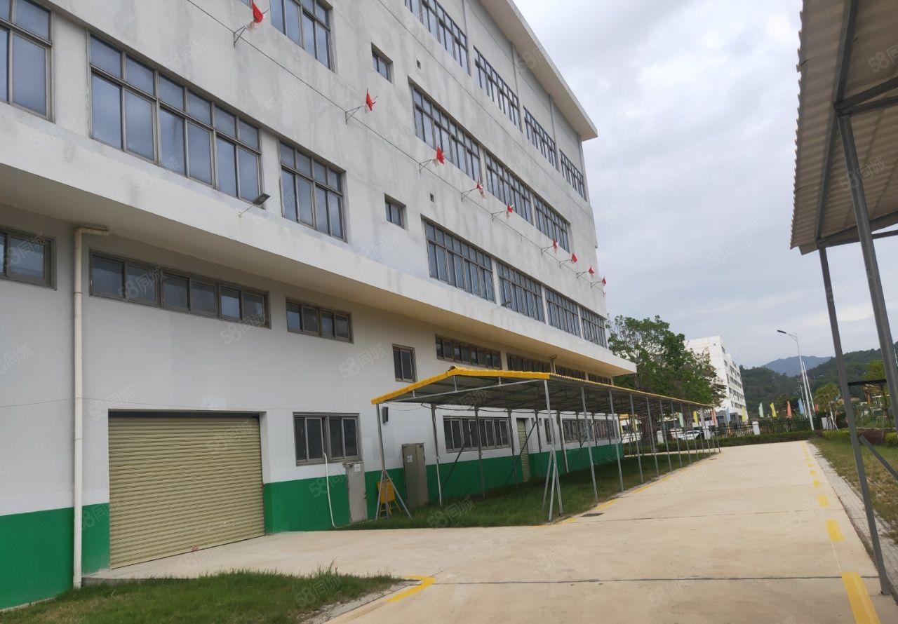 300平起租坪山新区原房东大型花园式红本独栋厂房仓库1万平