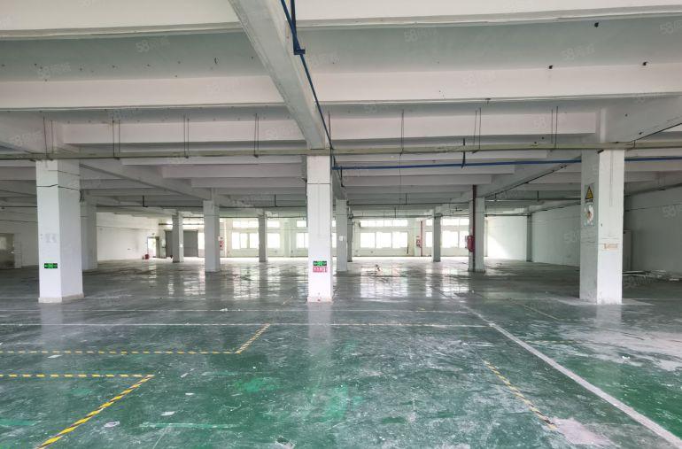 坪山碧岭工业区原房东红本独院厂房1200平出租可办环评易招工