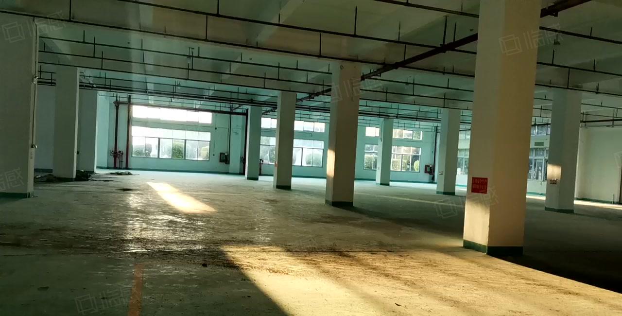 深圳坪山原房东1楼1700平方米，红本厂房出租，高度6.5米