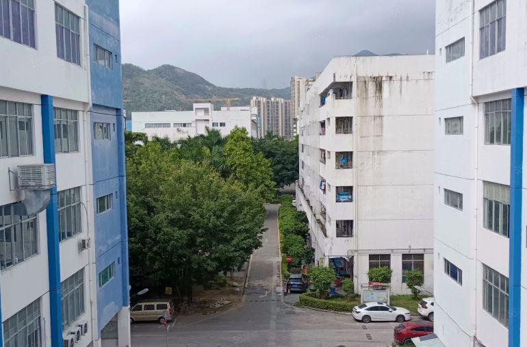 抢！深圳价格低洼原业主红本工业园区标准厂房出租独栋1千平起租