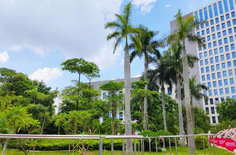 免租5个月坪山大工业区原房东花园式精装修2000平厂房出租