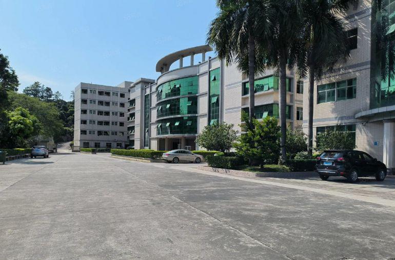 1000平起租坪山原房东新出9000平方厂房仓库出租大小分租