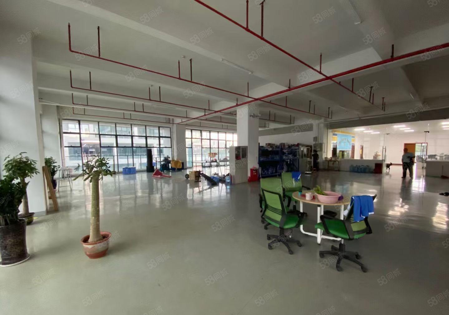 100平起分深圳坪山原房东红本厂房仓库办公出租二楼2000平