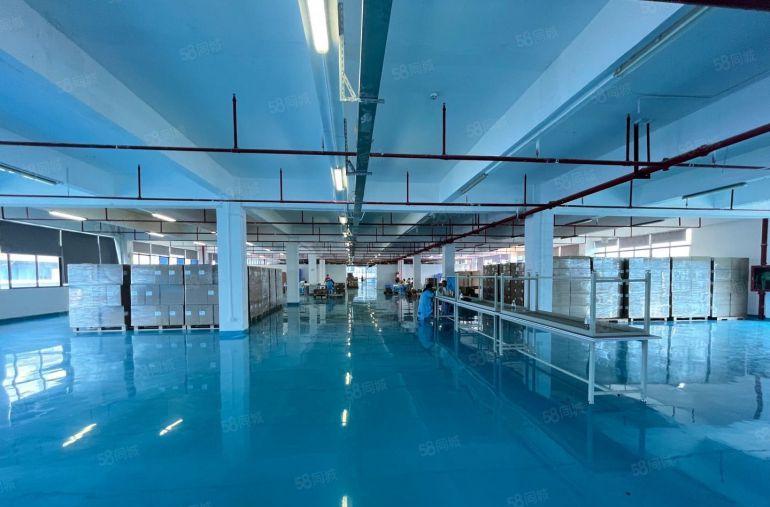 坪山大工业区厂房出租2000平方花园式红本厂房带现成装修水电