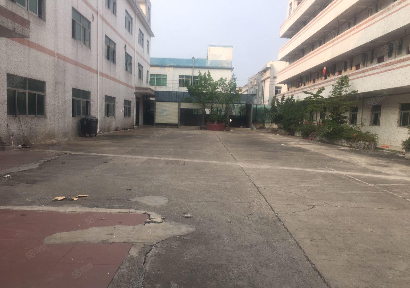 坑梓老坑工业区独院厂房实际面积无公摊厂房加宿舍5531平米