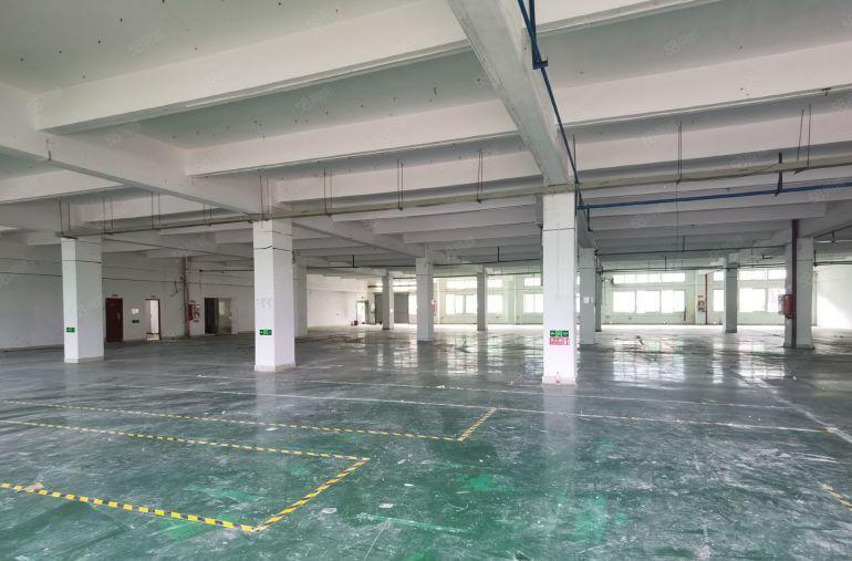 坪山碧岭工业区原房东红本独院厂房1200平出租可办环评易招工