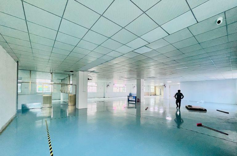 坪山六联地铁站50米原房东1150平全新精装修红本厂房出租