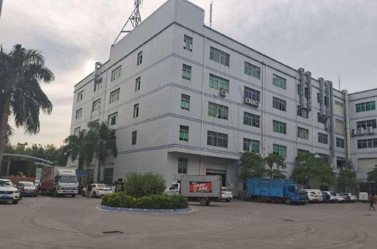 坪山坑梓新出500平至5000平 独院厂房仓库出租可分租