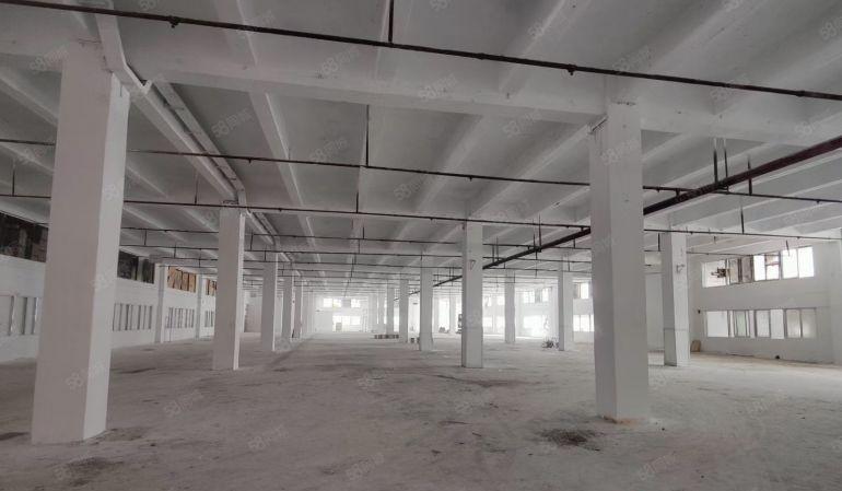 坪山高铁站附近宝山工业区11米高标准厂房2600平米厂房出租