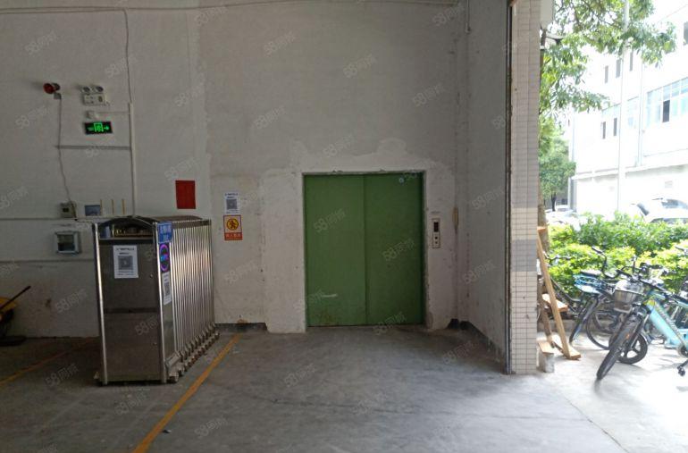 18块低价起租坪山比亚迪工业园区一楼1000平工业厂房出租