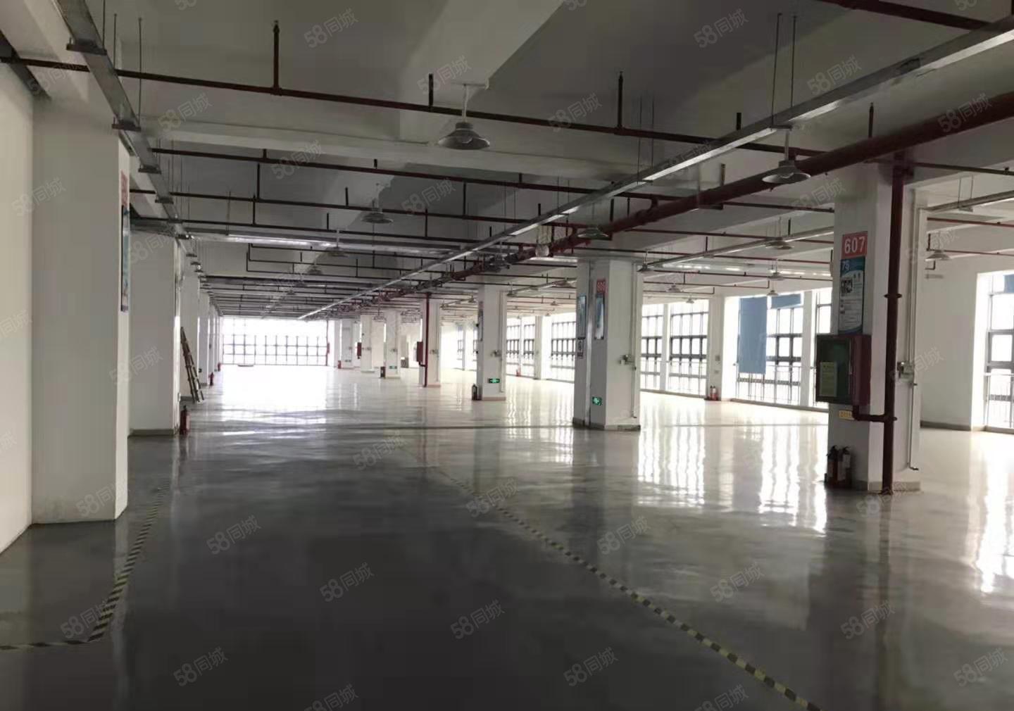 坪山新区原房东红本独院花园式厂房12000招租可办环评