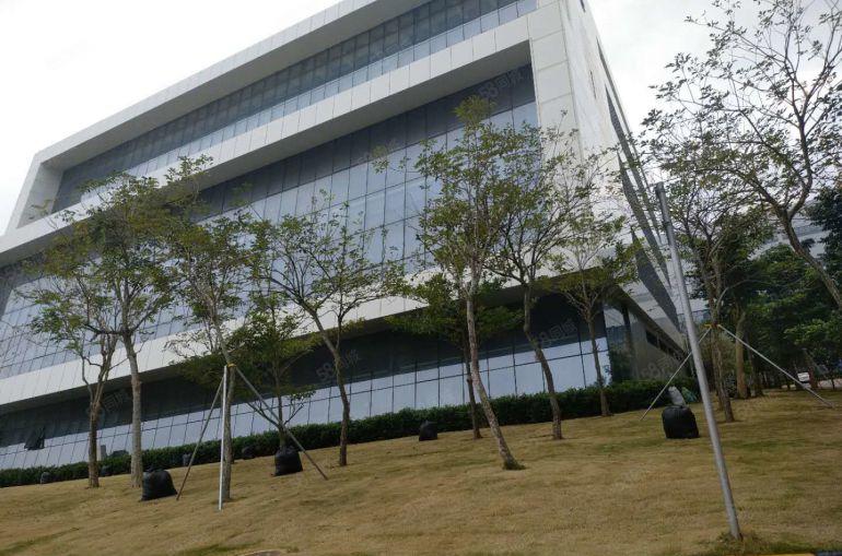 坪山生物基地新出楼上1500平方现成装修办公室仓库厂房出租