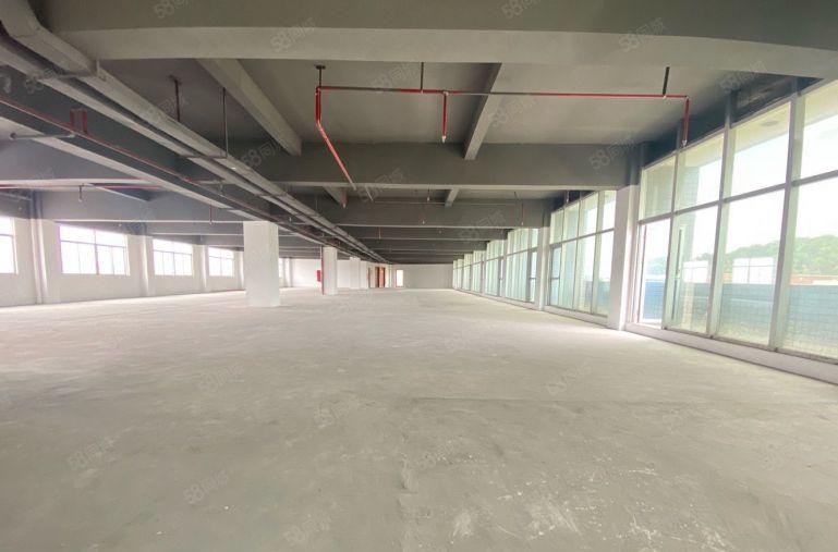 16元出租坪山坑梓楼上1500平精装仓库办公室厂房空地大红本