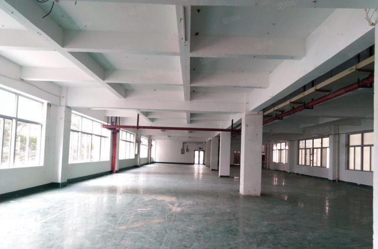 坪山碧岭沙湖标准厂房750平方米可生产研发办公电商贸易加工
