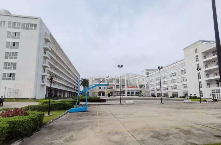 坪山原房东独栋厂房20000平方出租红本租赁可按需分租