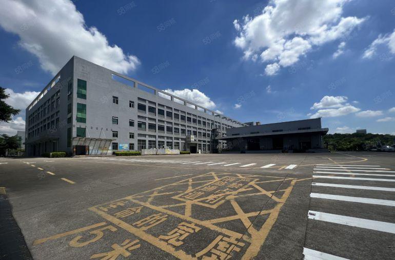 坑梓主干道原房东一楼厂房2500平方仓库出租带卸货平台空地大