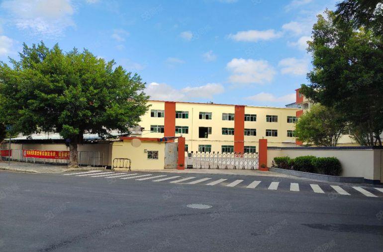 坪山地铁口原房东独院5000平方厂房仓库出租 空地超大可分租