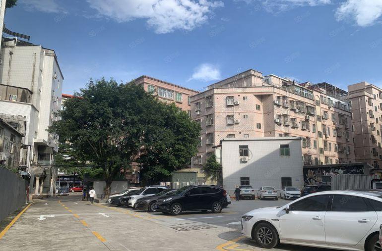 坪山原房东独院5350平实际面积出租报价15元合同5年可分租