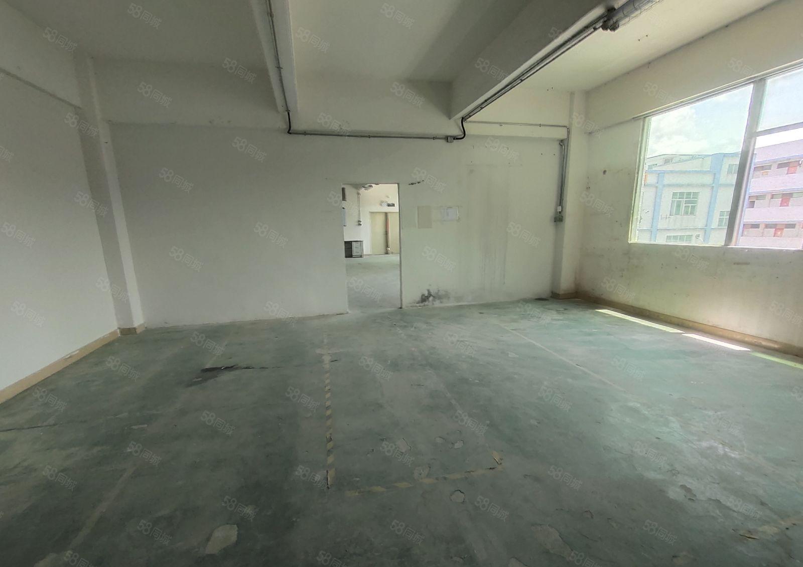 300平起租石井工业区标准厂房。