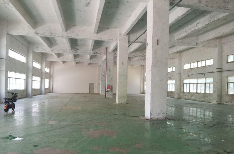 坪山碧岭工业区红本独院厂房960平出租层高6米易招工场地大