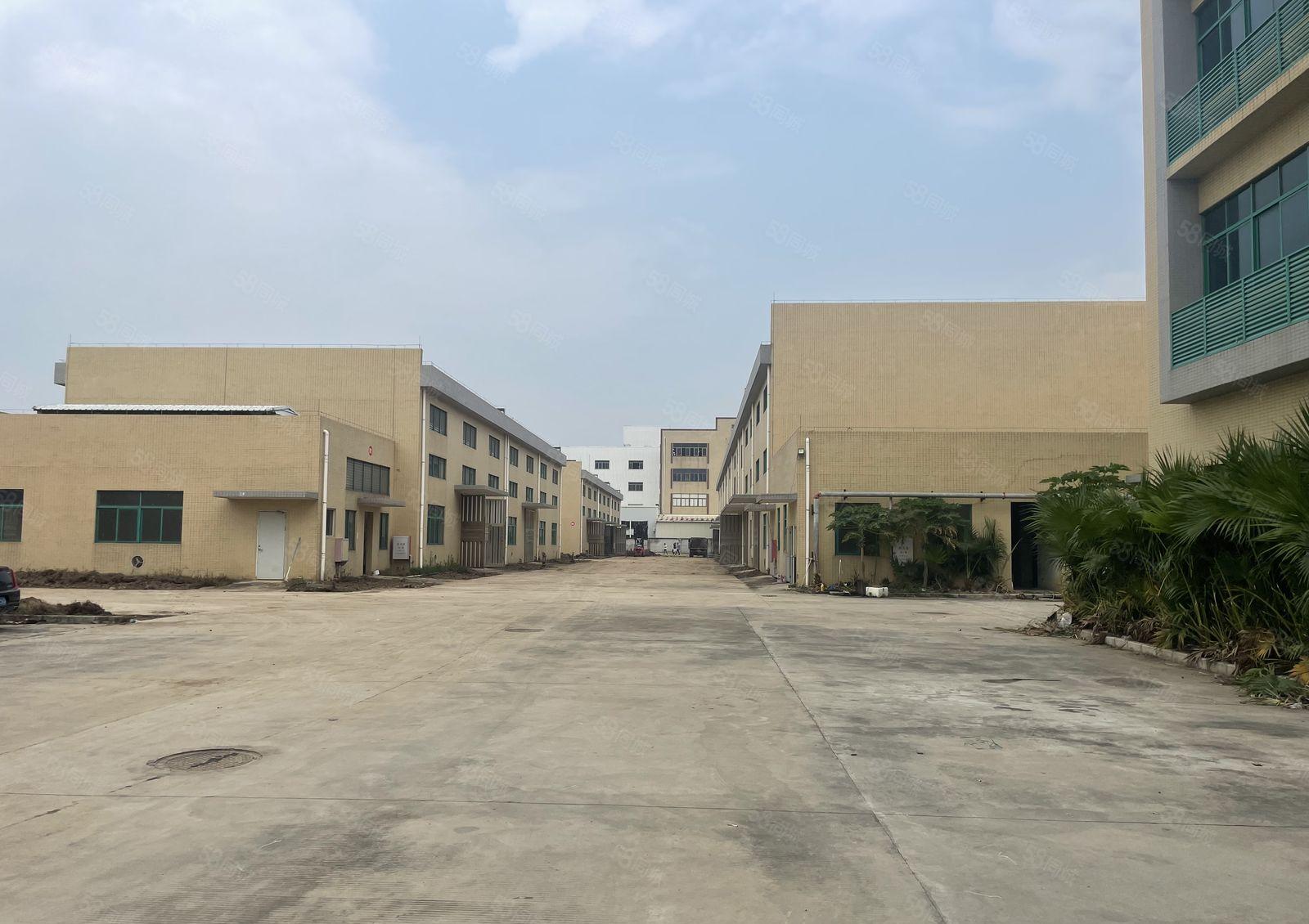 坪山独栋大型工业园红本3栋2万平分租300平起租仓库厂房出租