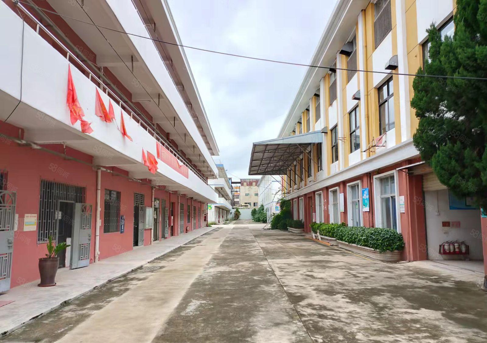 300平起租坪山坑梓秀新原房东精装修可办公厂房仓库出租