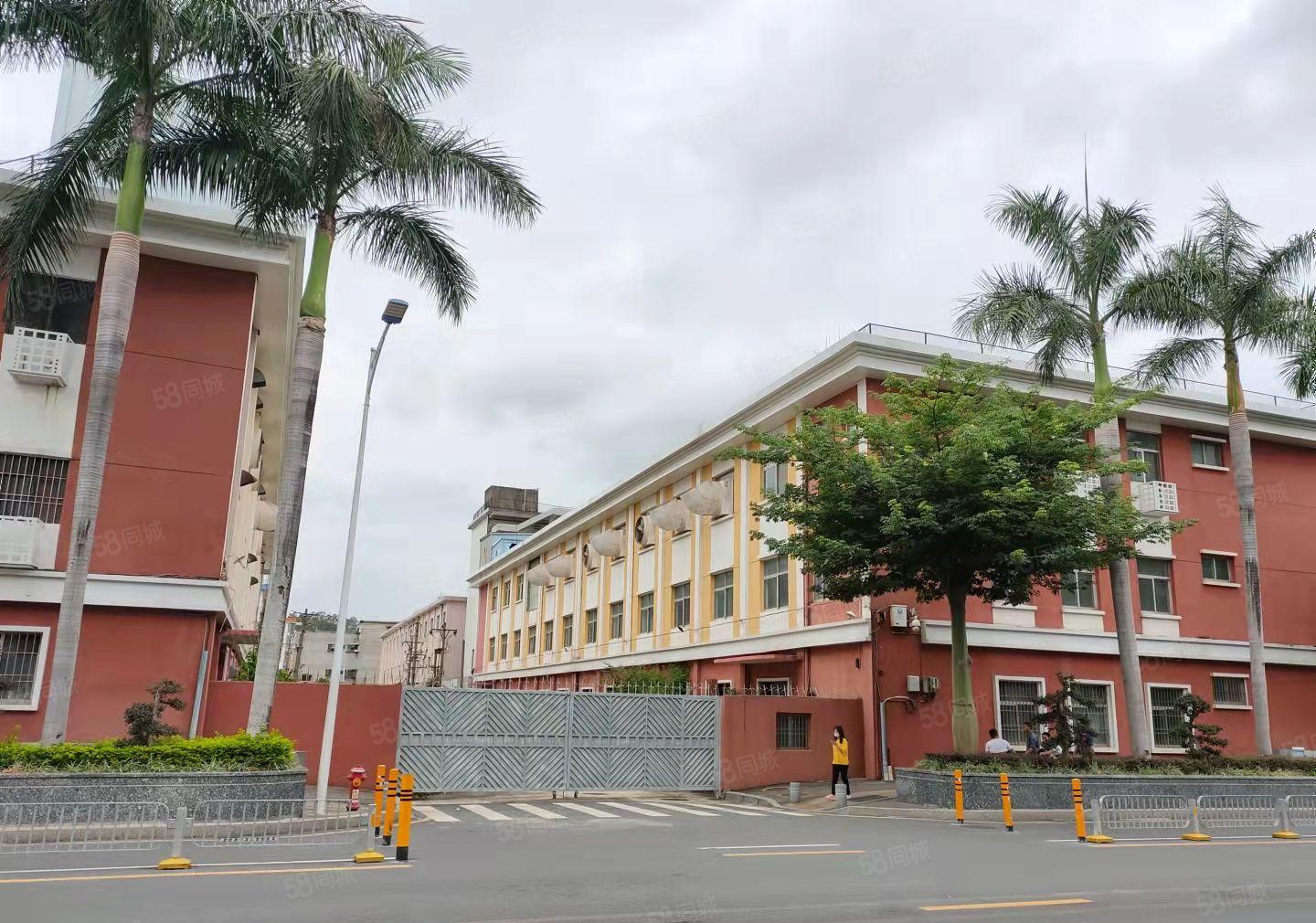 300平起租坪山坑梓秀新原房东精装修可办公厂房仓库出租