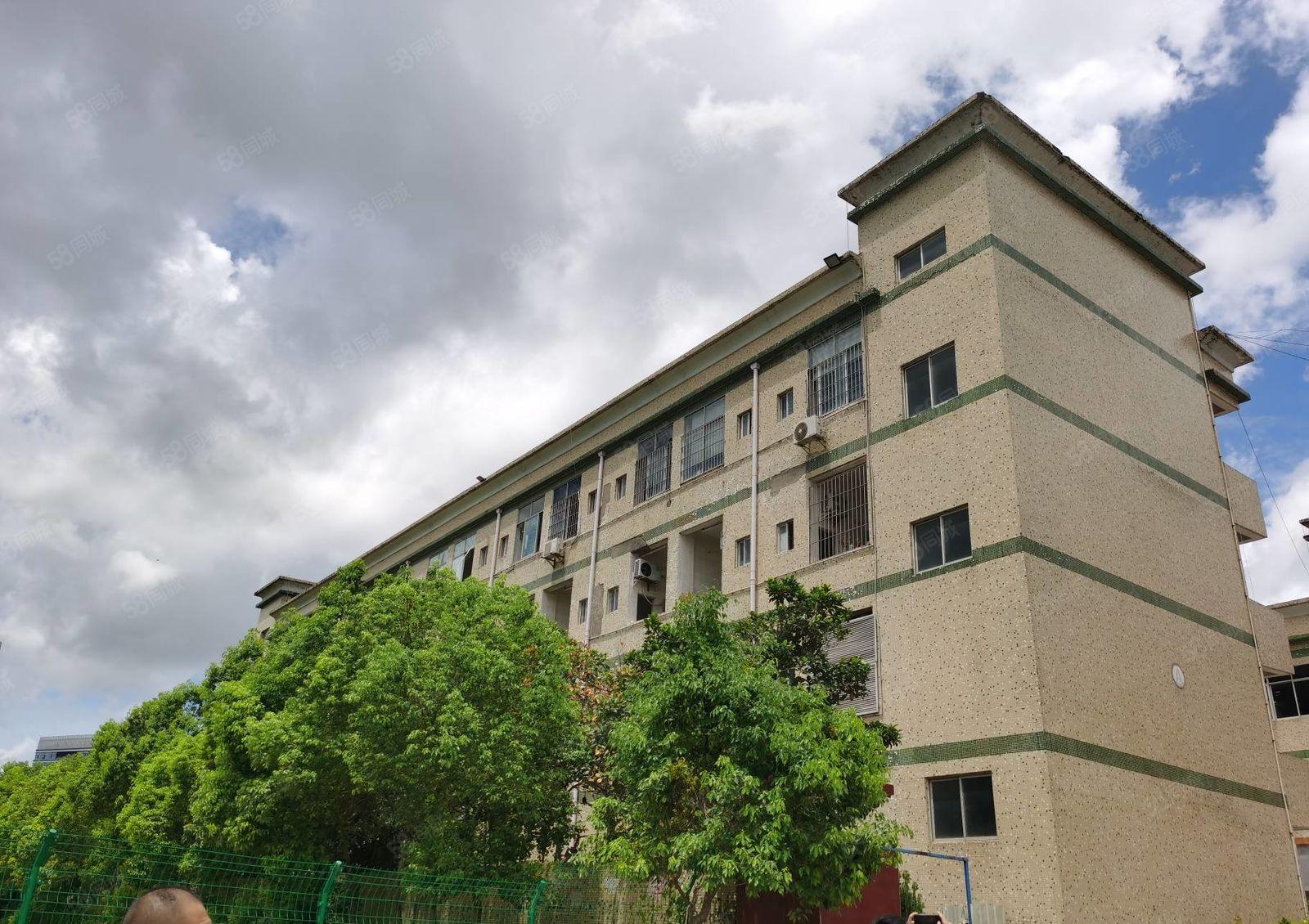 坪山坑梓新出红本工业园300平至5000平一二楼厂房仓库出租