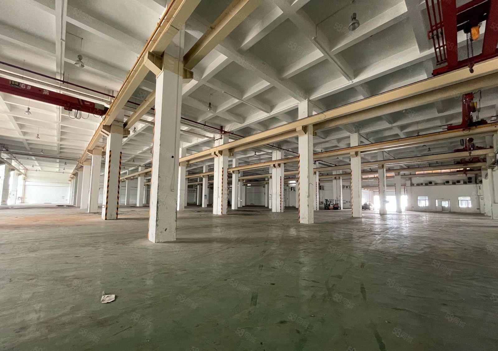 坪山一楼厂房12000平红本厂房出租高度9米带现成行车可分租