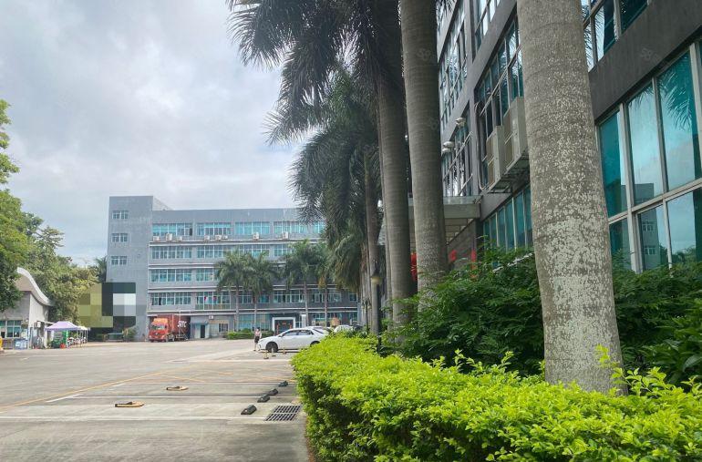 大工业区一手房东出租12000平红本厂房可分租一楼6米